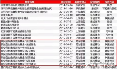 被樂(lè)視辜負(fù)的資本盛宴 大佬、明星與近百機(jī)構(gòu)的未解困局